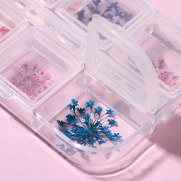 Сухоцветы для декора, 12 видов, в футляре, разноцветные - Qf фото 5