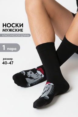 Носки мужские Лукас