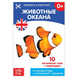 Обучающая книга по методике Г. Домана Животные океана. Английский язык, 24 стр.