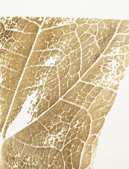 Футболка - Vilatte фото 2