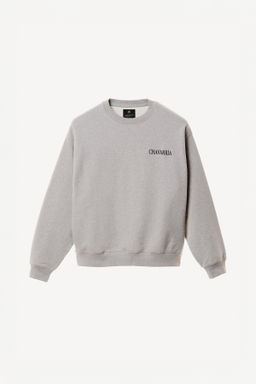 SUDADERA CREWNECK BORDADOS WILLY CHAVARRIA X ZARA / Gris vigor?