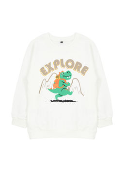 Ekru Erkek Cocuk Mevsimlik-Ince Dinozor Desenli Bisiklet Yaka Orme Sweatshirt TKDAW25SW00005
