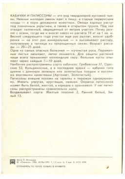 Открытка Патиссоны.Кабачки