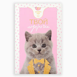 Цена за 2 шт. Бум-открытка «Твой подарочек», шары , 12 х 18.5 см