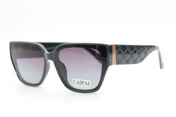 Солнцезащитные очки CAIPAI 8735 61-15-143 C5