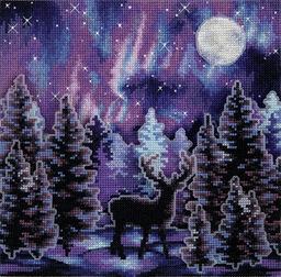Набор для вышивания PANNA PS-7413 Звездная ночь 21 х 21 см