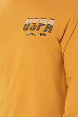 U. S. Polo Assn / Мужской горчичный свитшот - U.s. polo assn фото 21