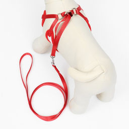 Комплект с мягкой шлейкой и бантиком Клетка, размер M, поводок 120 x 1,5 см, ОГ 28-46 см - Пижон фото 3