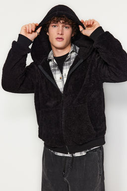 TRENDYOL MAN Bej Regular/Normal Kesim Full Fermuar Cepli Polar Kal?n Sweatshirt-H?rka TMNAW24SW00109
