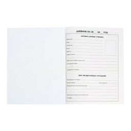 Дневник школьный для 1-11 классов, «Девочка со скейтом», твёрдая обложка 7БЦ, глянцевая ламинация, 40 листов