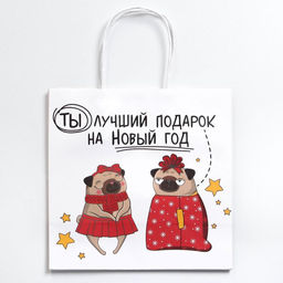 Пакет подарочный новогодний «Ты - лучший подарок», 22×22×11 см