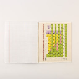 Тетради предметные, 48 л., А5, набор из 3 шт. КОТэ - Artfox study фото 7