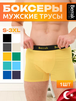 Мужские трусы Berrak 4476  фото 12