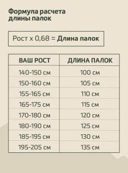 Палки для скандинавской ходьбы BERGER Travel Forest BTF25NP1-01, 106 см, цельные, красный фото 17