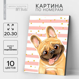 Картина по номерам на холсте с подрамником «Мопс», 20×30 см
