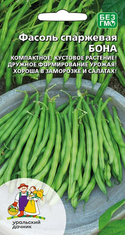 Фасоль БОНА  Дружно формирует стабильный урожай!