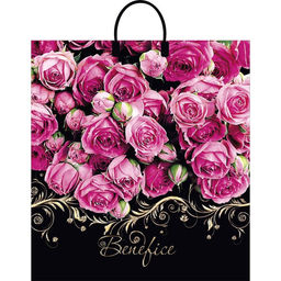 Цена за 10 шт. Пакет «Бенефис», полиэтиленовый с пластиковой ручкой, 40×44, 100 мкм