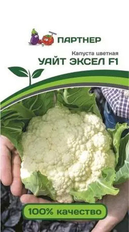 Капуста цветная Уайт Эксель - Партнер фото 2