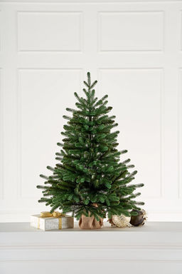 Ель (Max Christmas) "Европейская" 0.9м (ЕЕС 09) Россия