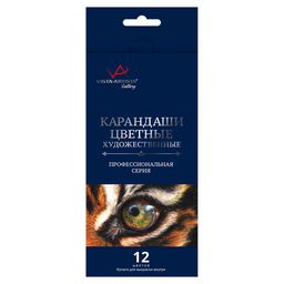 VISTA-ARTISTA Gallery VGCP-12 Набор цветных карандашей заточенный 8 х 12 цв