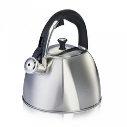 Чайник из нержавеющей стали Tea 3л, д21см, s0,5мм, дно s3,27мм, со свистком, многослойное капсульное дно, матовая полировка, пластмассовая ручка, цветная коробка, Regent (Китай) Подходит для всех видов плит, включая индукционную