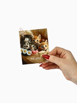 Набор мини-открыток в коробке со скрепками «Котики», 35 штук, 8 x 10 см