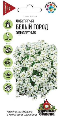 Лобулярия Белый город морская 0,05 гр (г)