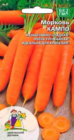 Морковь КАМПО Ровная и длинная, великолепно хранится! Необычайно сладкая! Крайне урожайная!