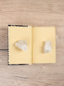 Блокнот в твёрдой обложке «Экзотика», 48 листов, 14×18×2 см, чёрно-белый