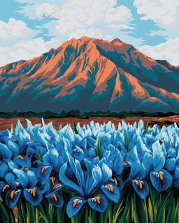 ФРЕЯ PNB/PL-346 Набор для раскрашивания по номерам 50 х 40 см Ирисы в горах