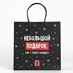 Пакет подарочный новогодний «Небольшой подарок», 22 х 22 х 11 см
