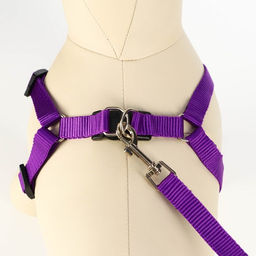 Комплект Базис, поводок 120 х 1,5 см, ОГ 32-46 см, фиолетовый - Пижон фото 4