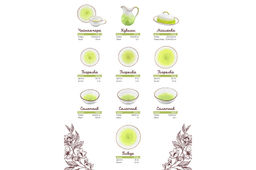 Тарелка обеденная Elan Gallery Кантри фарфор зеленая 26.5×26.5×2.5 см  фото 5