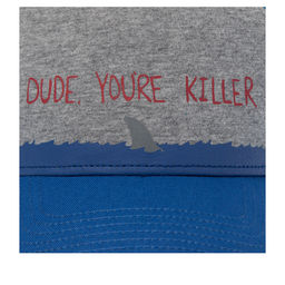 Бейсболка COASTAL арт. HFT KillerDude (светло-серый / синий) фото 4