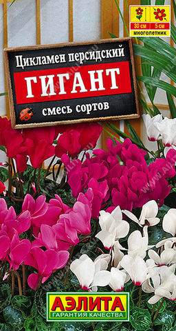 Цикламен персидский Гигант, смесь сортов (2028)