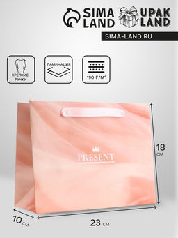 Цена за 2 шт. Пакет подарочный горизонтальный Present, 23?18?10 см