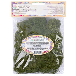 Blumentag BMSR-50 Мох стабилизированный окрашенный 50 г  5 г №01 салатовый  фото 10