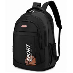Рюкзак SR-2503-Black/Brown