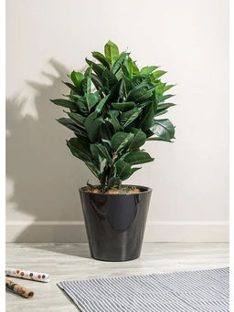 Горшок для цветов Rosemary D330мм, 16л с дренажной вставкой на колесиках (черный)