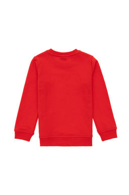 Красная толстовка для мальчика Неожиданная скидка в корзине - U.s. polo assn фото 4