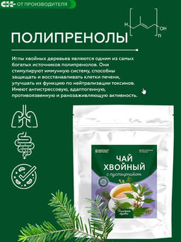Хвойный чай с Пустырником (напиток чайный) / 100 г / ТМ Сибирская клетчатка