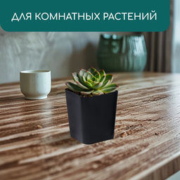 Цена за 20 шт. Горшок для рассады, 300 мл, 7.5×7.5×7.5 см, пластик, чёрный, Greengo