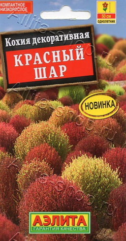 Кохия Красный шар 0,1г (Аэлита)