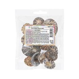 Blumentag / Zlatka DRF-012 Ракушки 50 г  5 г 6.3 см Patella Testudinaria  фото 3