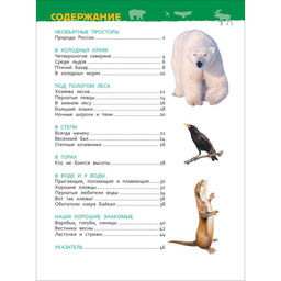 Цена за 2 шт. Энциклопедия для детского сада «Животные России»