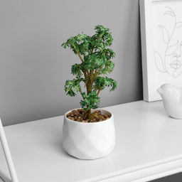 Искусственный цветок в горшке «Клён мини люкс» (мягкий лист), 13×6 см, МИКС
