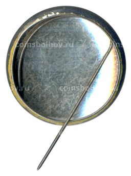 Значок Тарту