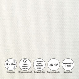 Холст грунтованный на подрамнике VISTA-ARTISTA ACMG-2550 100% хлопок 25 х 50 см 380 г/кв.м 2 шт Трубежской среднезернистый