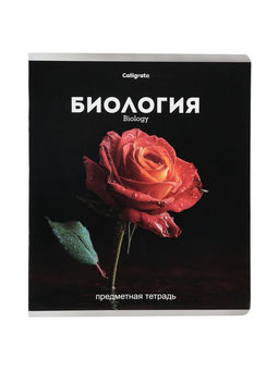 Тетради предметные 12 шт. «Черная серия», 48 листов, со справочной информацией