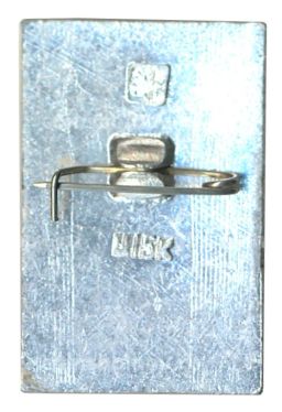 Значок Общество охраны памятников истории и культуры РСФСР